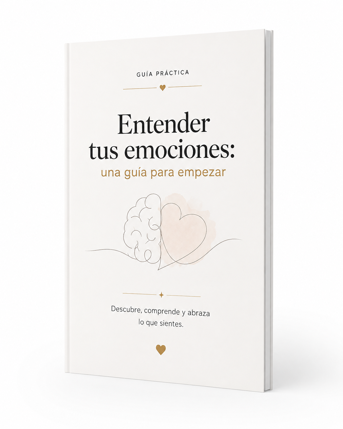 E-book Entender tus emociones